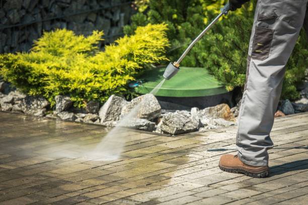 Best Residential Pressure Washing in Sesser, IL