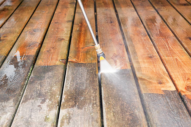Best Vinyl Siding Pressure Washing in Sesser, IL